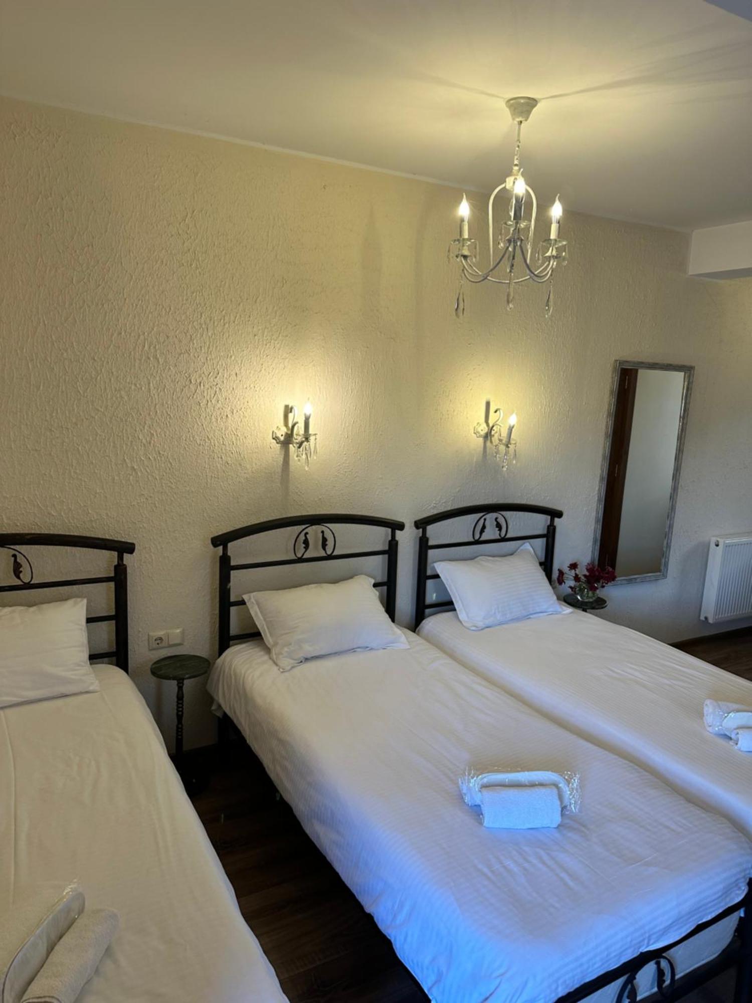 Hotel Wine Hills Tiflis Exterior foto